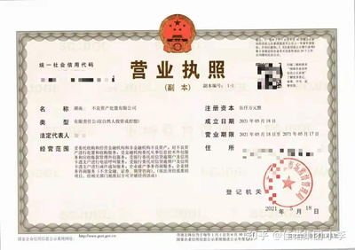 不良资产处置公司 金融机构的金融信息技术外包服务先锋
